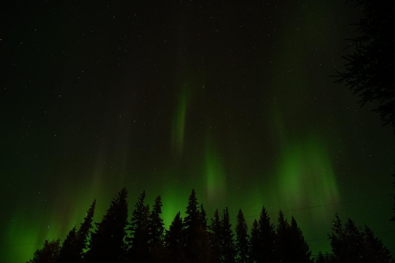 Yellowhead Motel Valemount Eksteriør billede